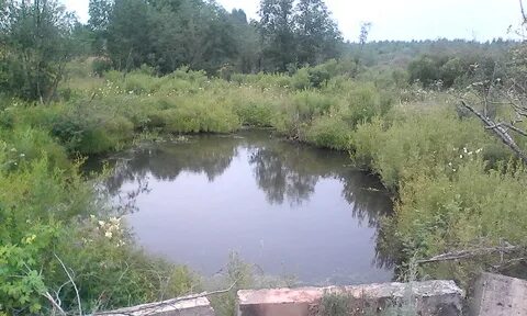 Погода в лукоянове на 10 дней