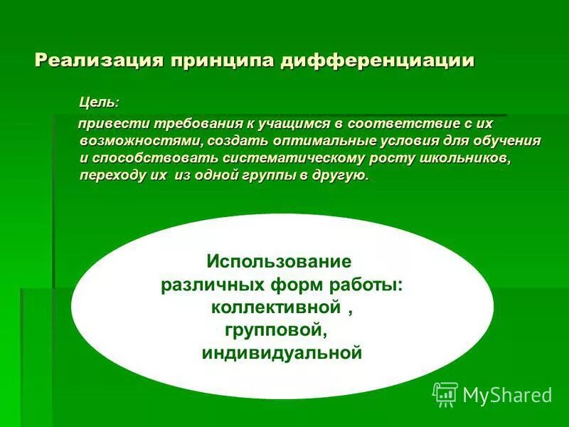 реализация принципов обучения русскому языку