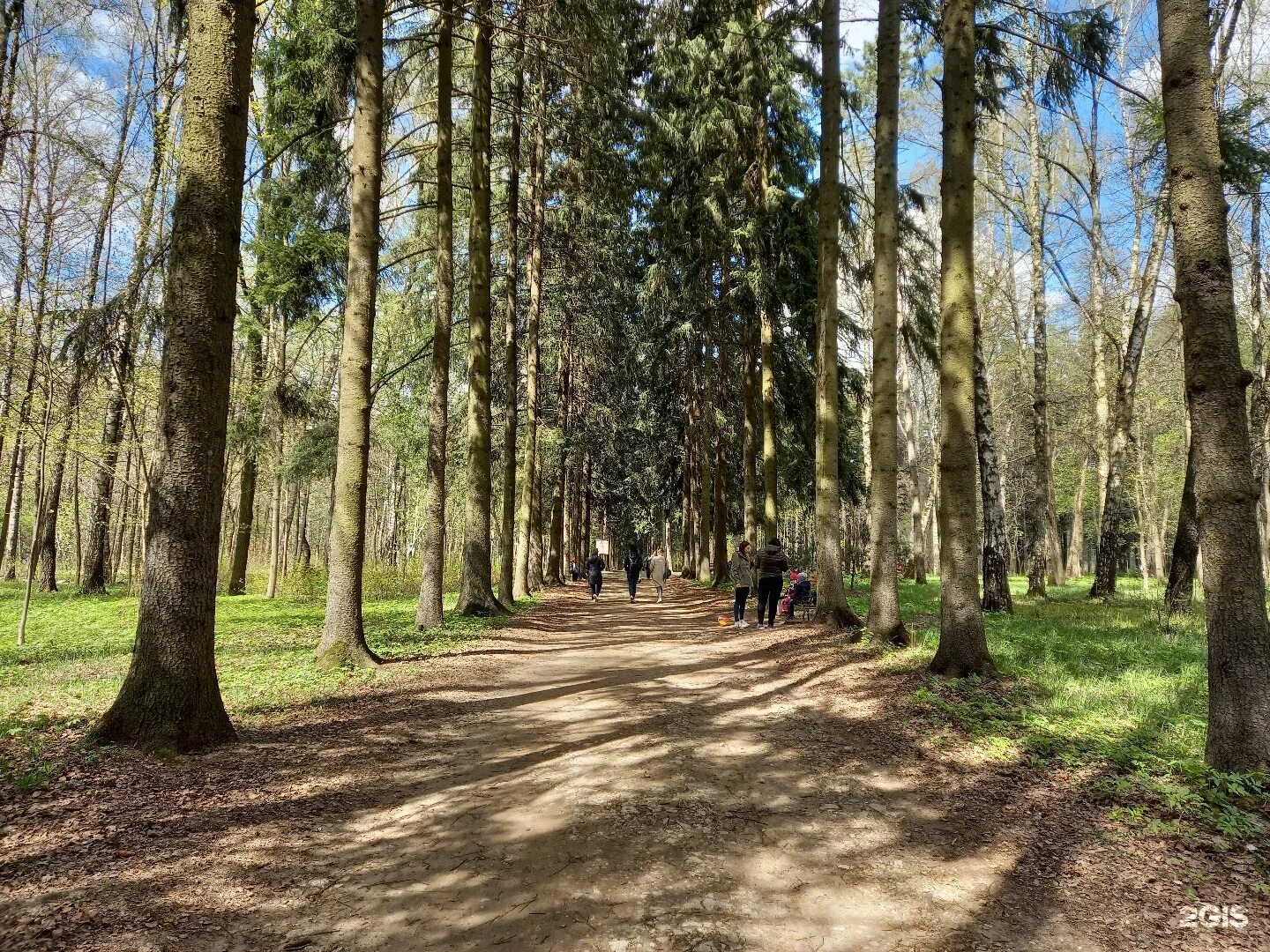 Бирюлевский дендропарк летом. Бирюлево восточное дендропарк. Поляна в бирюлевском дендропарке. Дендропарк в бирюлево. Хоростков дендропарк.