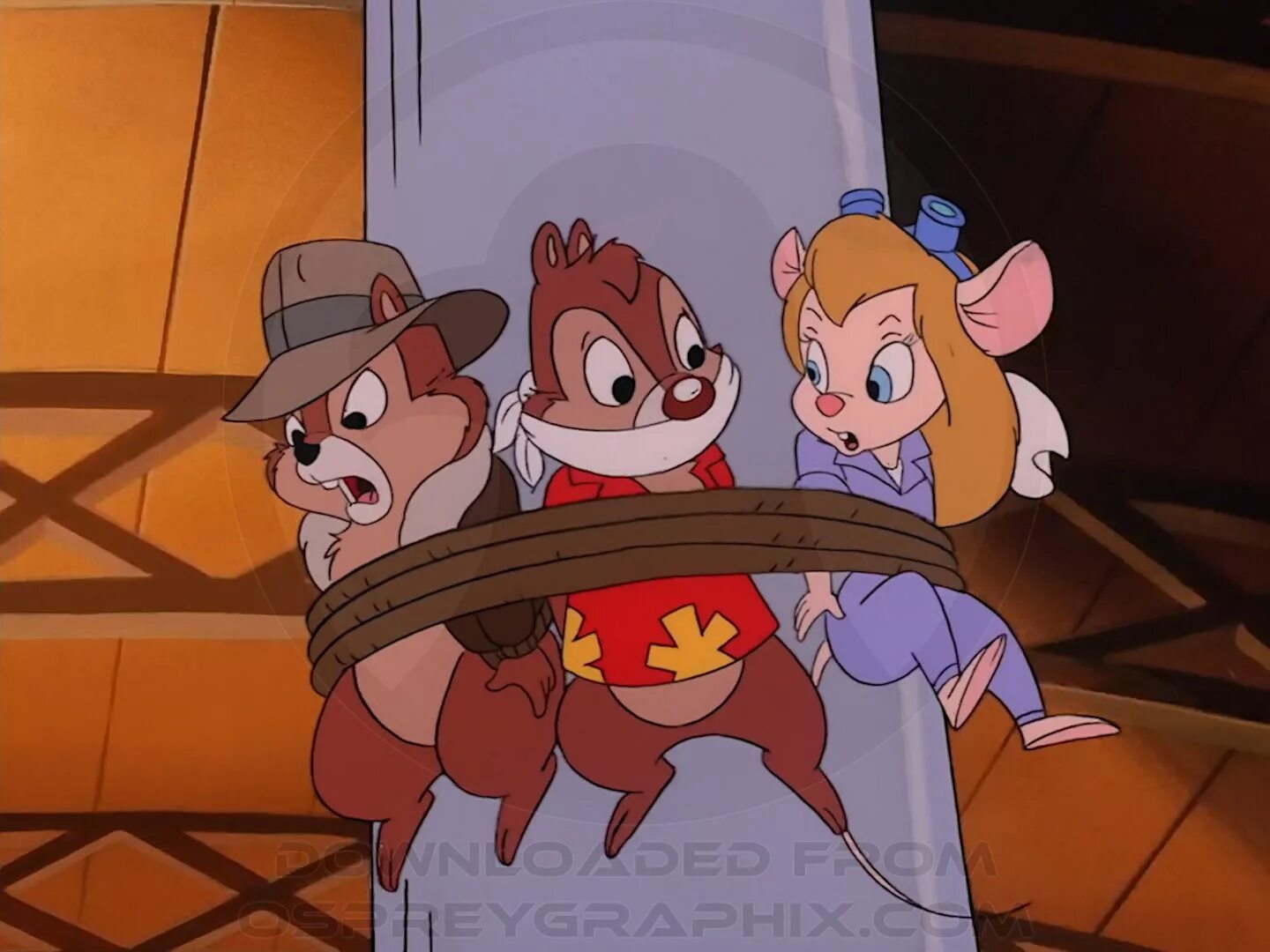 Чип чип руби руби. Chip ’n Dale Rescue Rangers. Чип и Дейл горшок с золотом. Chip ’n Dale Rescue Rangers 2. Чип и Дейл Гаечка связанная.