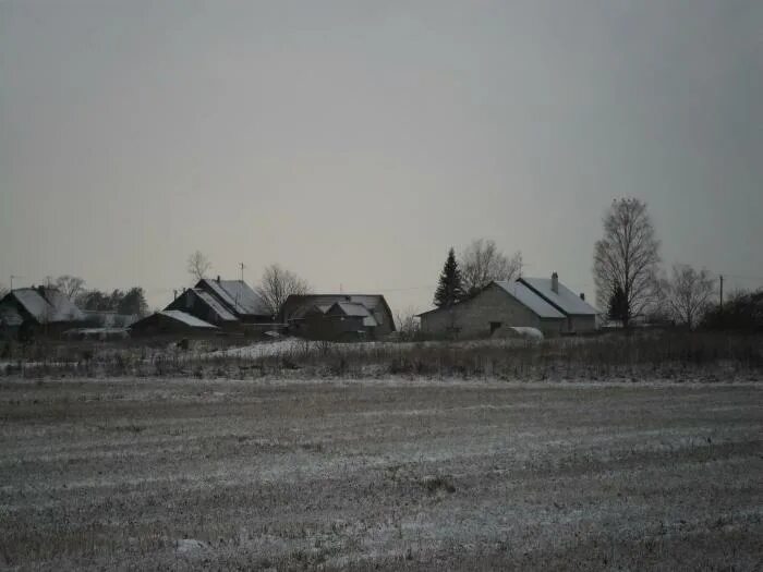 Скворицы гатчинский район достопримечательности. Скворицы гатчинский. Ополченцев гатчина. Скворицы гатчинский. Алексей мервинский покизен-пурская.