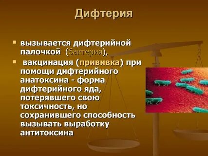 Бактерии ослабленного