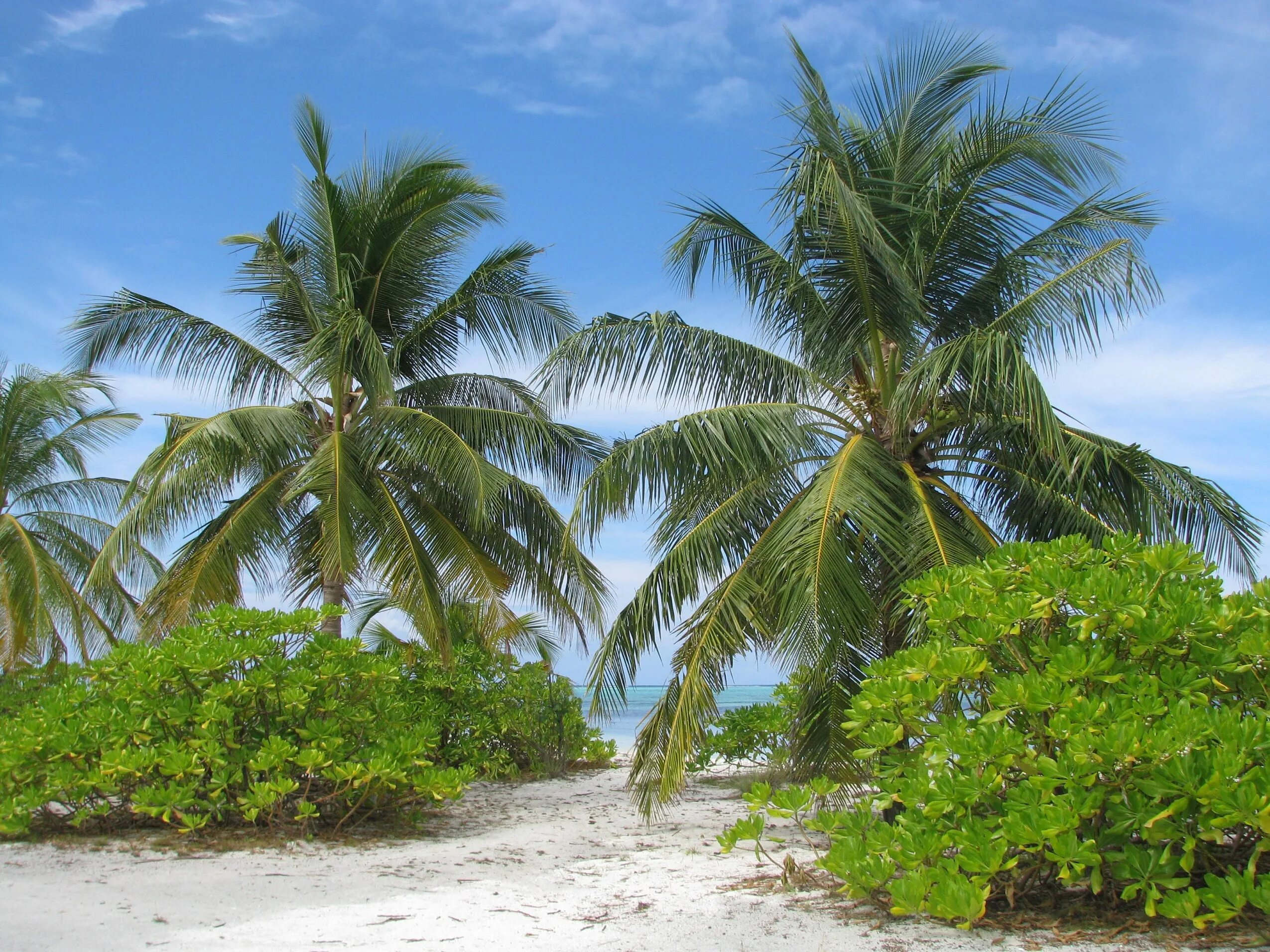 Красивая надпись сахалин. Утиный остров курск. Наш остров. Наш остров. Наш остров.