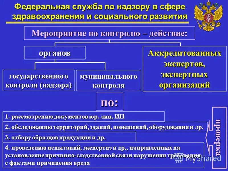 Федеральные органы контроля и надзора. Какие органы осуществляют контроль. Структура муниципальной системы здравоохранения. Контроль и надзор гос органов.