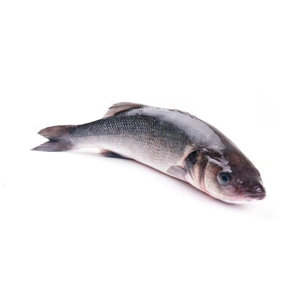 Сибас 1 кг. Морская рыба сибас. Сибас охлажденный ~800 г. Сибас непотрошеный. Омуль Арктический свежемороженый.