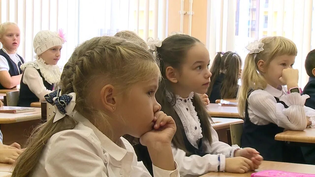 567 школа петергоф. 567 школа петергоф