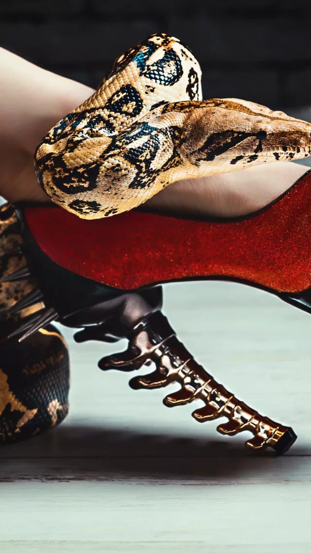 Змеиные сапоги мужские. Ботинки со змеями. Туфли со змеями. Туфли кобры. Сапоги из змеиной кожи мужские.
