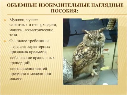 Изобразительные пособия