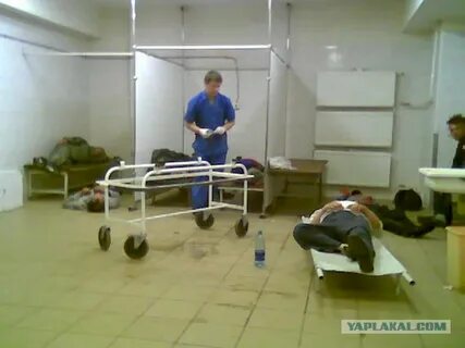 Отделения в приемном покое какие