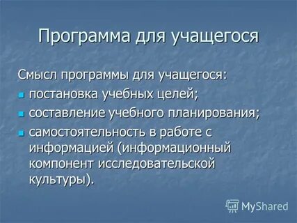 Программа смысл