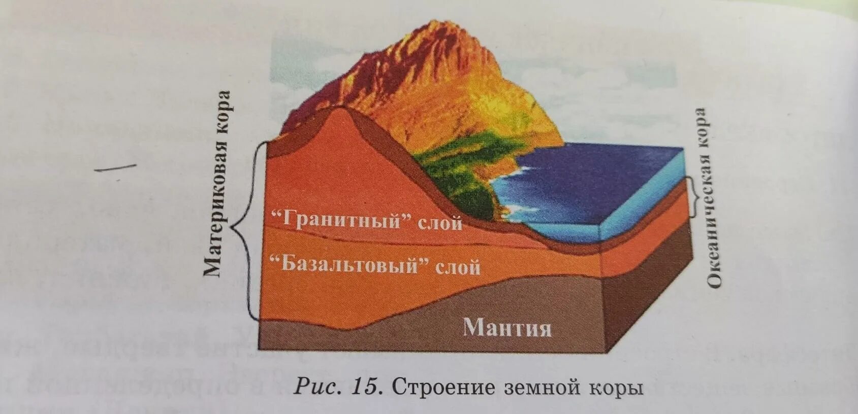 В основании современных материков лежат. Движение земной коры. Опущенный участок земной коры. Приподнятый обычно вытянутый участок земной коры. Вертикальные движения земной коры.