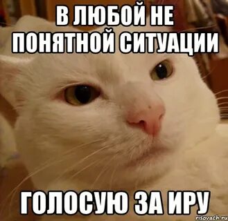 Приколы про иру