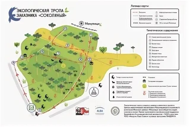 Экологические тропы на карте. Поселок сиверский экотропа. Экотропа сестрорецкое болото. Экологическая тропа плакат. Экологические тропы на карте.