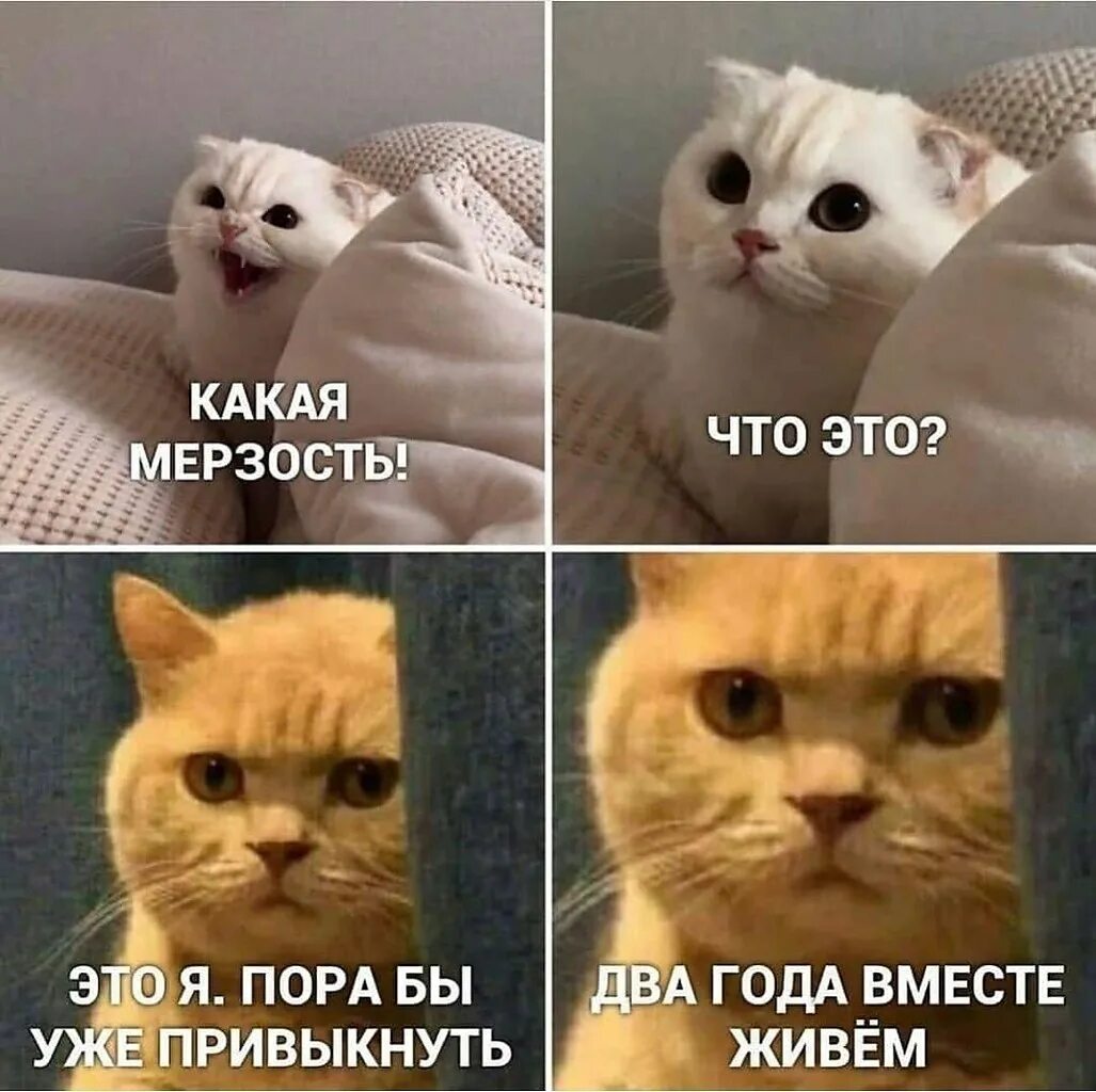 Мерзость синоним