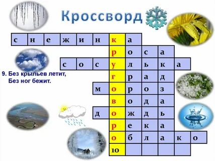 Язык ветров