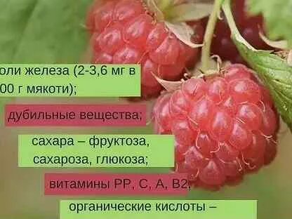 Малинник по составу