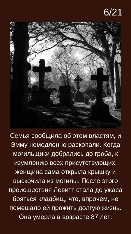 треш истории из жизни