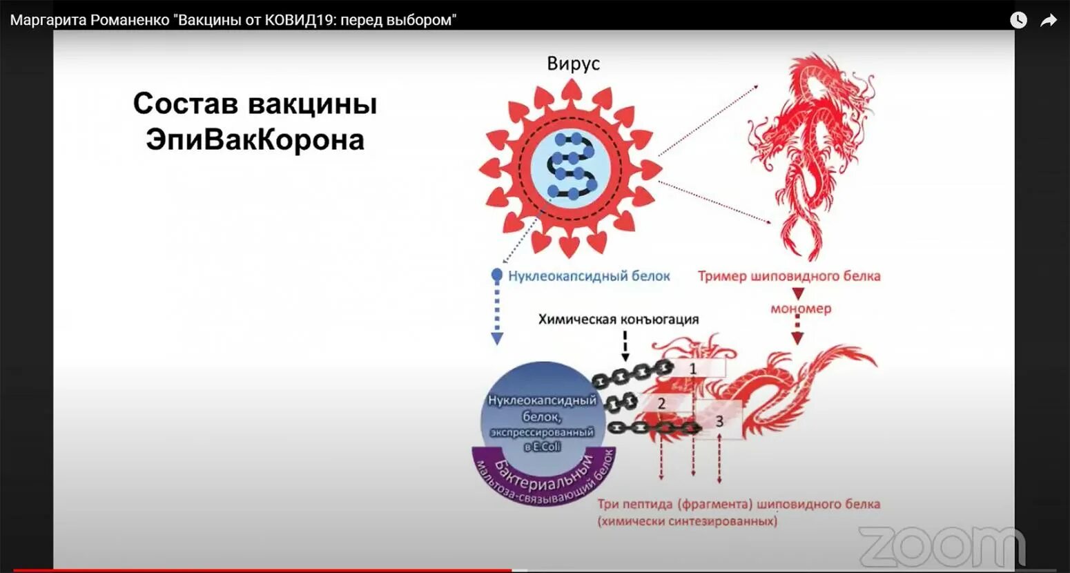 Механизм вакцин. Принцип работы вакцины. Механизм работы вакцины. Схема действия вакцины. Эпиваккорона вакцина состав.