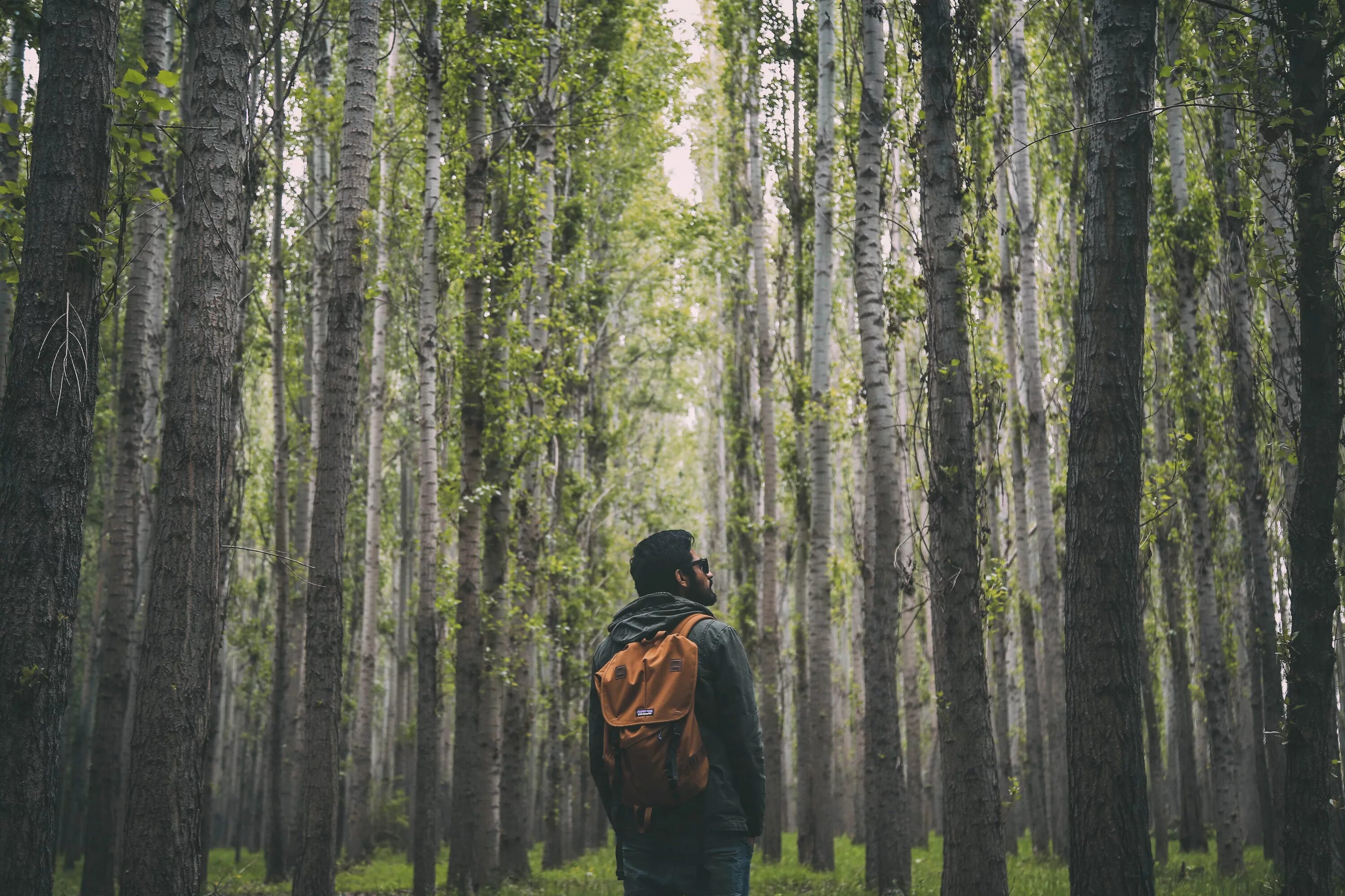 Человек в лесу. Фотосессия в лесу. Люди на природе в лесу. Чел в лесу. Adventure forest