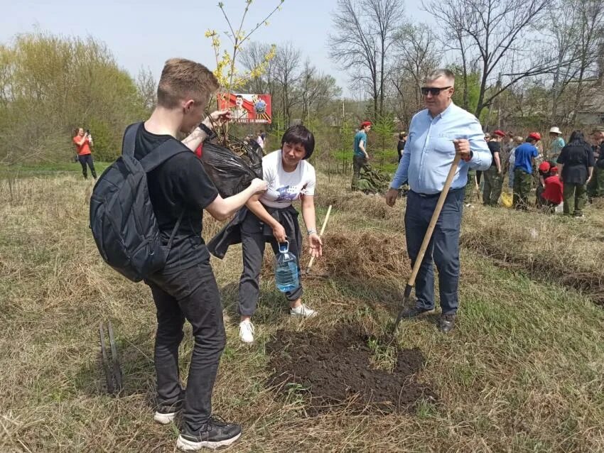 Новости партизанска. Картинка администрации партизанского городского. Сад памяти. Новости Партизанск.