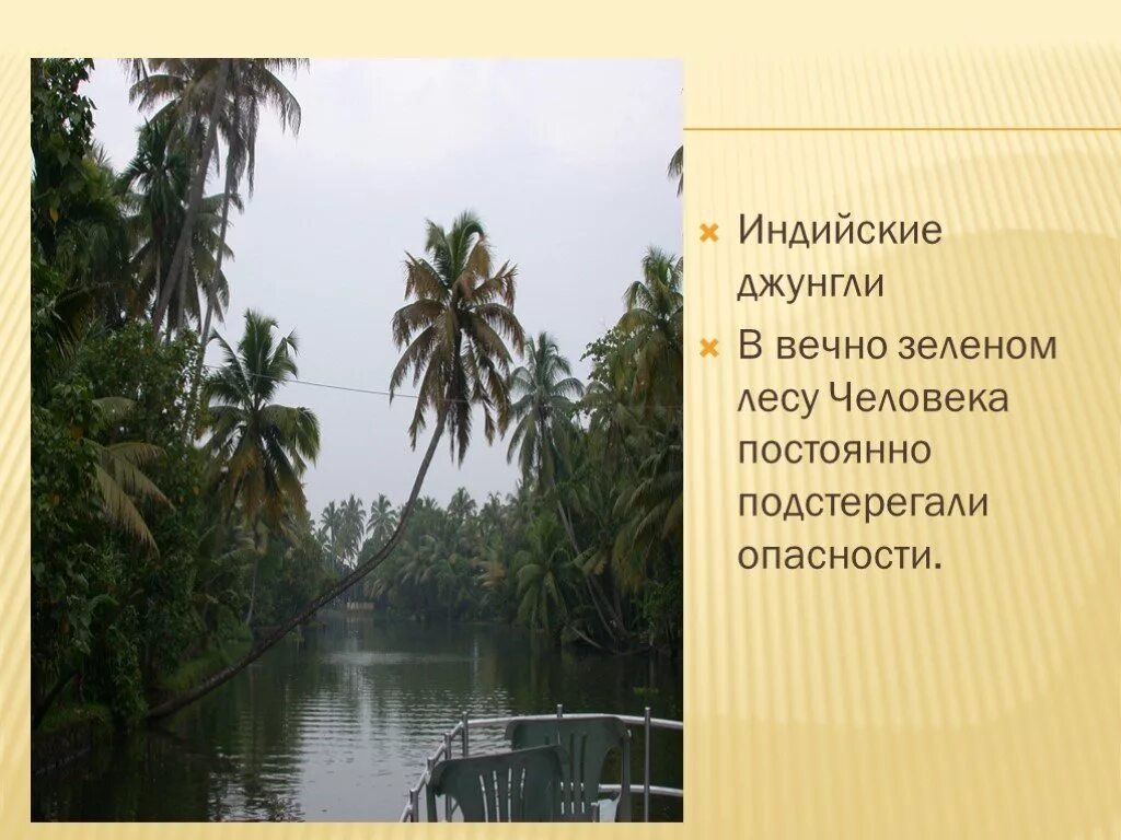 Климат в древней индии 5 класс. Древняя Индия джунгли. Джунгли древней Индии 5 класс. Джунгли Индии в древности. Джунгли Индии доклад.