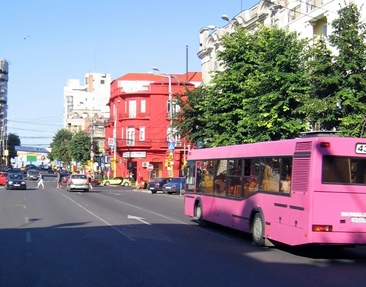 Pink Bus.