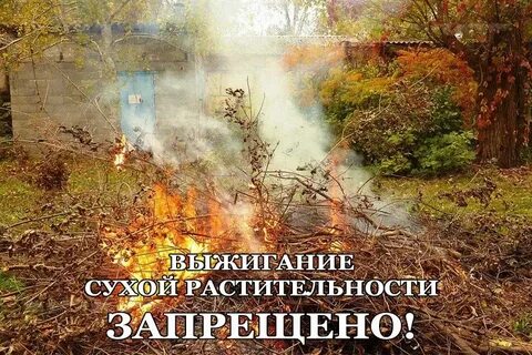 Осень листья сжигает