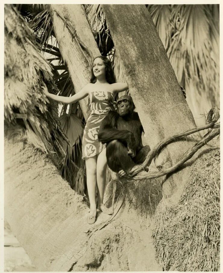 Дороти Ламур и шимпанзе. Дороти Ламур актриса. Любовь в джунглях. Девушка с шимпанзе ретро. Jungle love