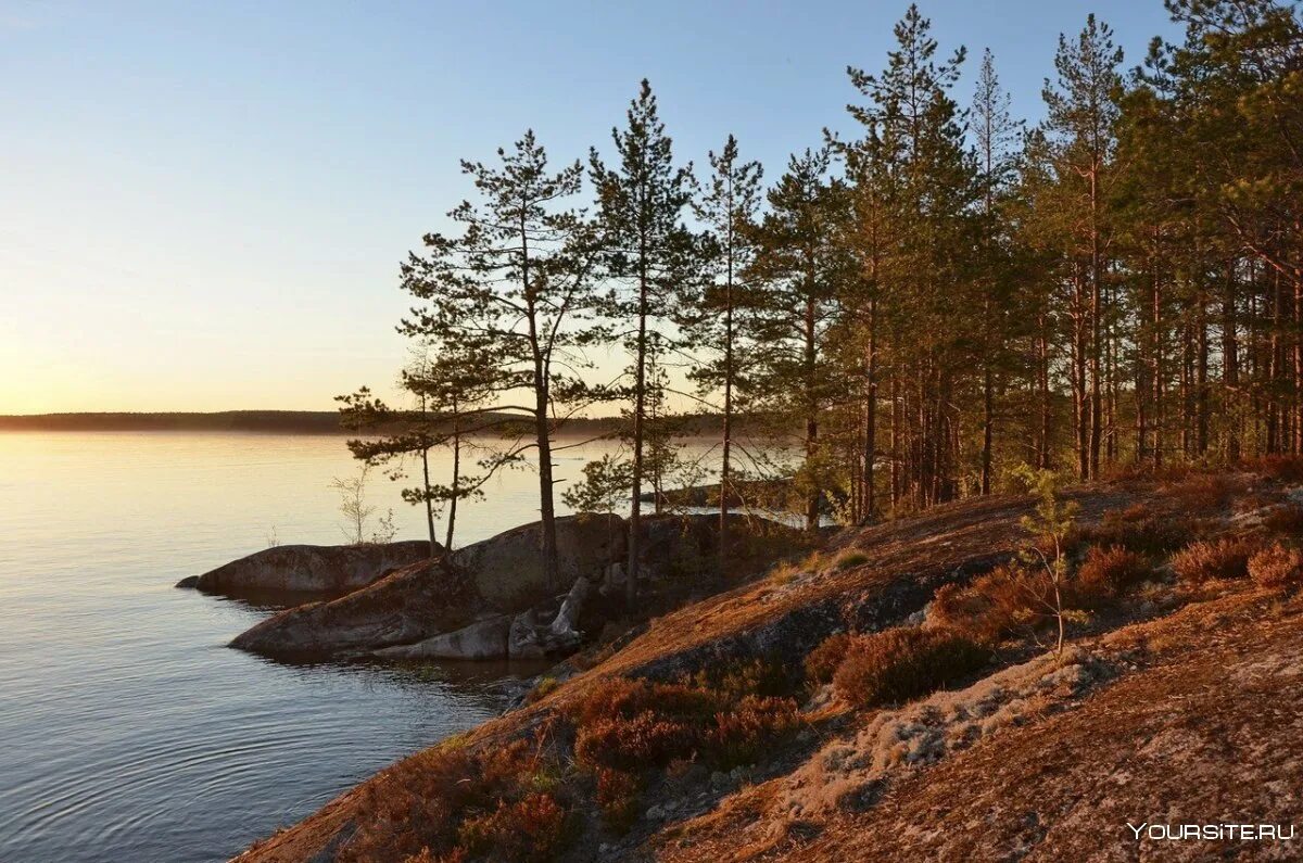 Побережье онежского озера. Берег Онежского озера, Карелия. Остров Сосновец Онежское озеро. Озеро Онега Карелия. Природа Карелии Онежское озеро.