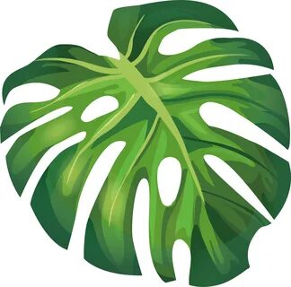 Download Summer Leaf Euclidean Leaves Illustration Arecaceae Vector Clipart PNG 