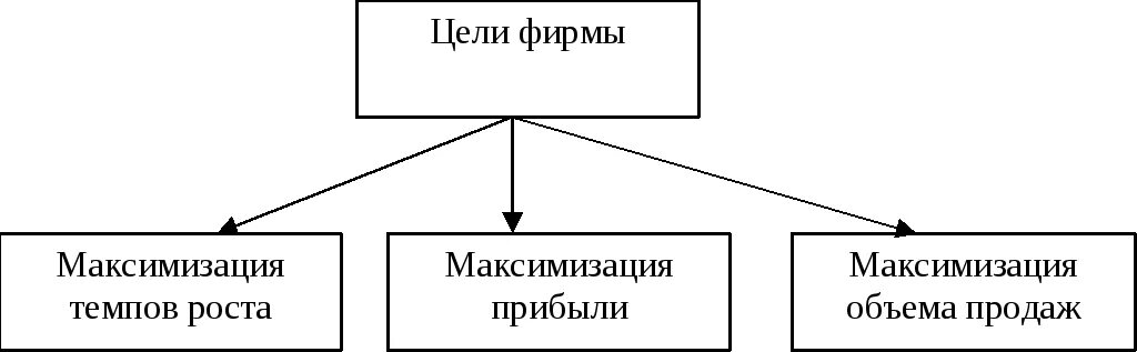 Выбор экономической цели фирмы. Цели фирмы и их отражение в политике ценообразования. цели фирмы. экономические цели фирмы. фирма и их цели.