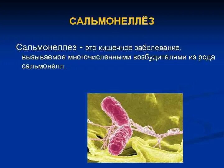 Сальмонеллез возбудитель заболевания. Сальмонелла возбудитель. Возбудителями сальмонеллеза являются. Сальмонеллез этиология возбудитель. Тема сальмонеллез