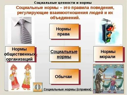 Система организаций норм и ценностей