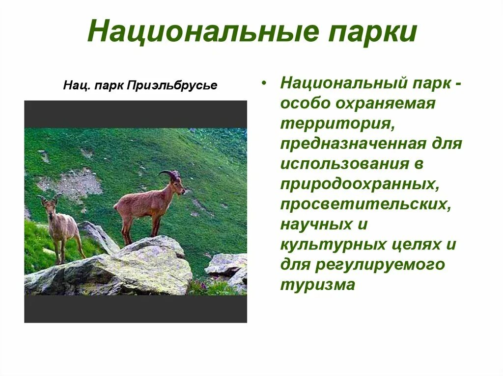 Различия заповедника и национального парка. Национальные парки презентация. Охрана природы заповедники национальные парки. Слайд национальные парки.