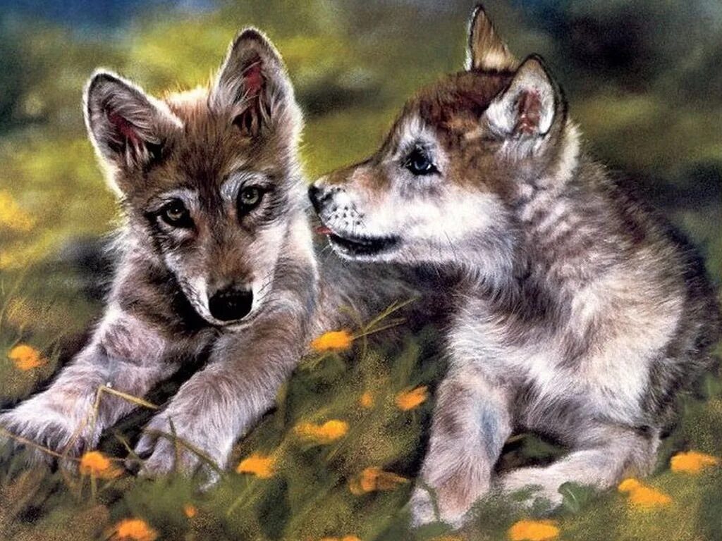 Лесли Харрисон картины. Волк волчица и 2 волчонка. Волк волчица Волчонок семья. Волк с волчатами. Волк детям о животных