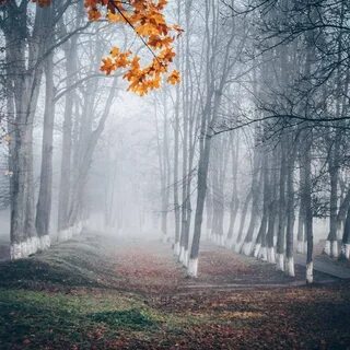 Октябрь месяц грусти