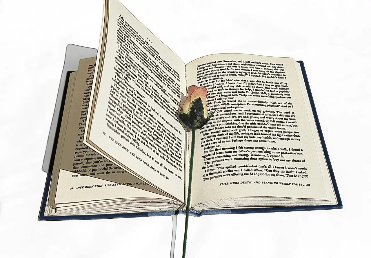 Un livre sur. Un livre sur. Selection du livre. Книга для…. О людях и книгах.
