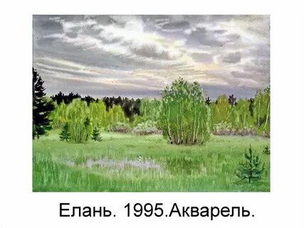 Лес в кладовой солнца