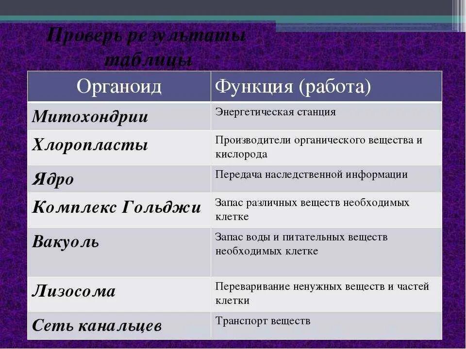 Строение клетки свойства функции. Таблица по биологии органоиды строение функции. Строение и функции органоидов клетки 10 класс. Таблица по биологии органоиды клетки и их функции и строение. Название органоида особенности строения функции таблица.