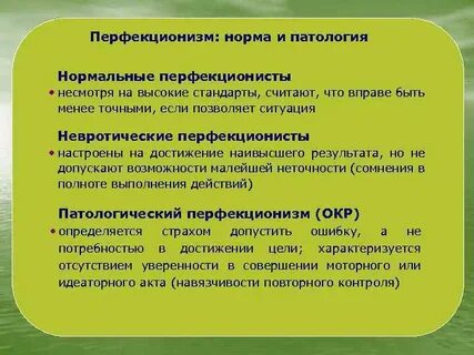 Перфекционистка кто это женщина