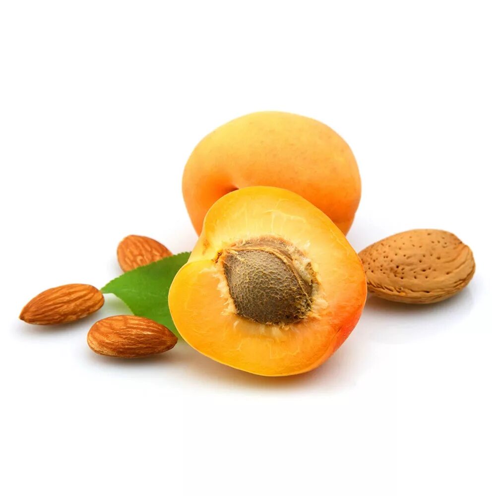 Apricot kernel. Apricot kernel