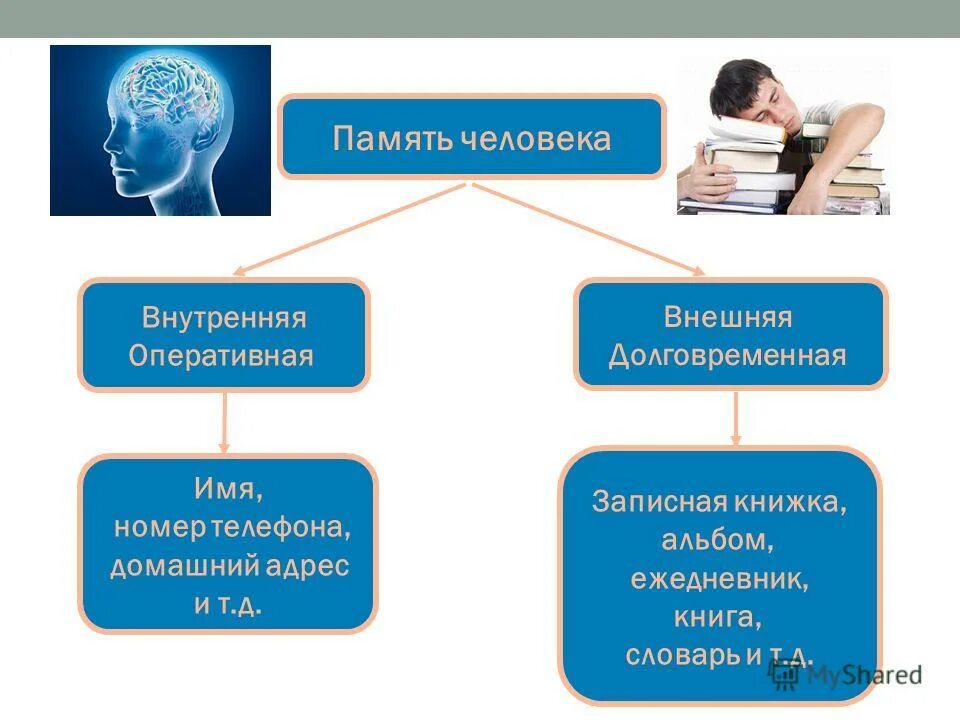 Оперативная память человека это