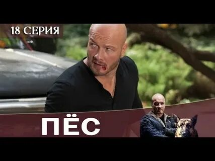 Пес выход серий