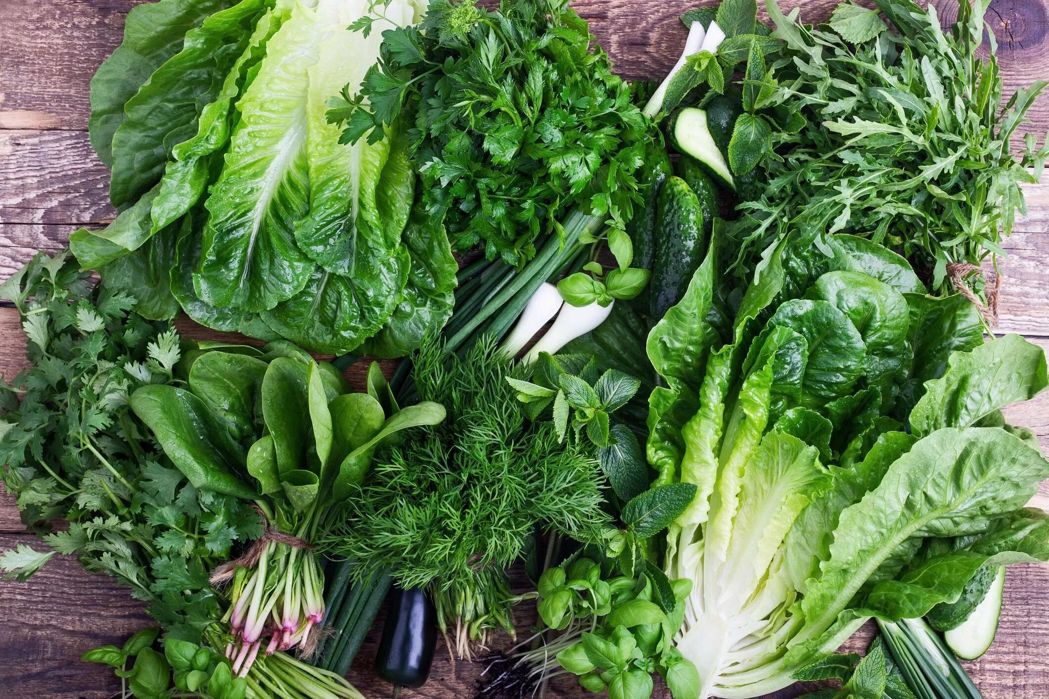 Шпинат ,базилик,кинза,руккола. Green leafy Vegetables. Зелень для салатов. Листовая зелень. Есть зеленые овощи