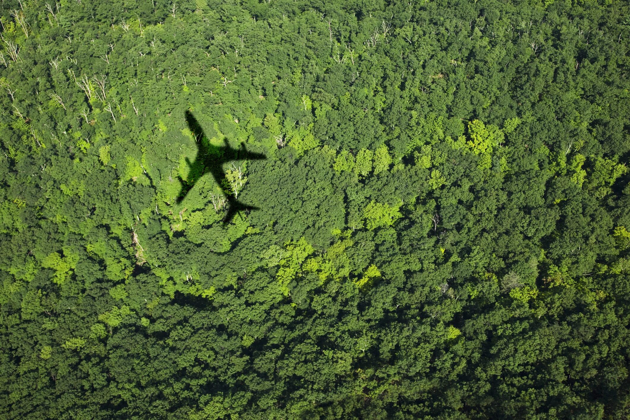 Green туры. Путешествие зеленые тона. Travel зеленый. Фон для презентации по географии зеленый. Эстетика зелёного цвета.