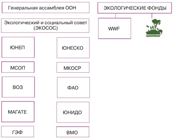 Программы и фонды оон. Оон экология.