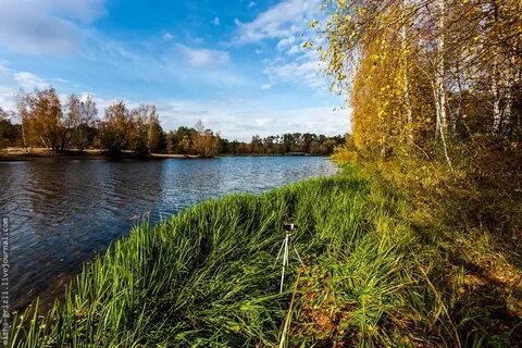 Серебряный бор москва река