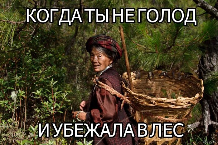Пословица голод не тетка продолжение. Голод не тётка в лес не убежит. пословица голод не тётка в лес не убежит. голод не тетка в лес не убежит фразеологизм. голод не тетка в лес не убежит рисунок.