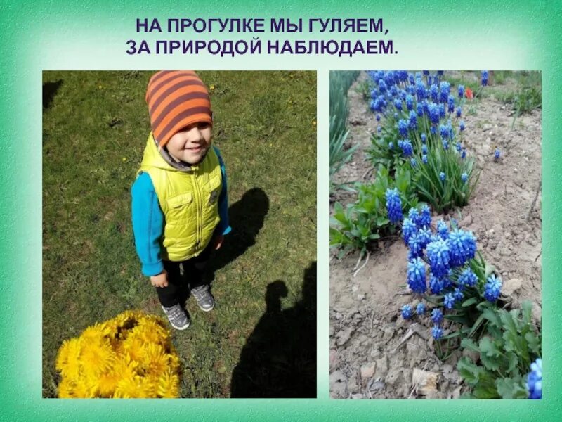 Ты любишь наблюдать за природой. Мы гуляем, за природой наблюдаем. Хобби наблюдение за природой. Наблюдение за природой родного края СПБ презентация.