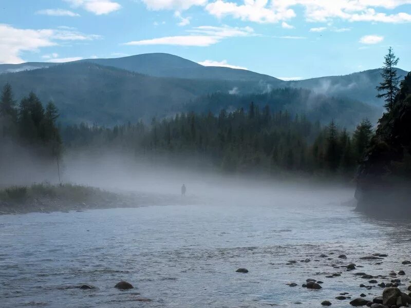 Ливни сибирь. Сибирь туман. Лес под дождем. Восточно сибирская тайга. Усолье наводнение.